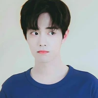 Tiêu Chiến _Tán Tán