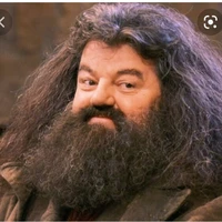 Rubeus Hagrid