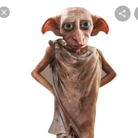 Gia Tinh Dobby