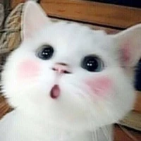 Tác giả siu cute