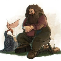 Rubeus Hagrid