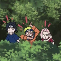 Đội 7 / Đội Kakashi  + Shinato