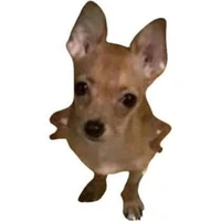 con téc giả lười nhất truyện:))))