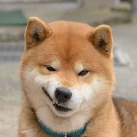 Ki Ki