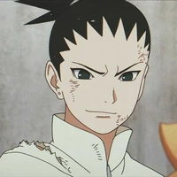 Nara Shikadai
