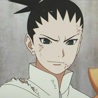 Nara Shikadai