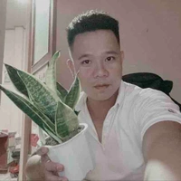 Anh Phú