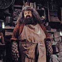 Rubeus Hagrid