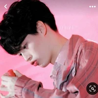 Win Metawin