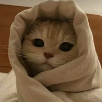 tác giả