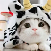 Tg siêu cấp đẹp trai(con gái nha)