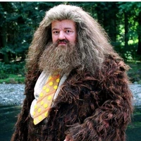 Rubeus Hagrid