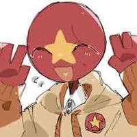 Việt Nam (tiểu thuyết)