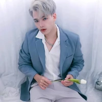 mr vịt