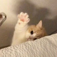 Tác Giả:>