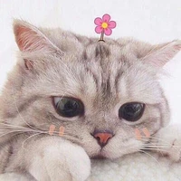 Tiara