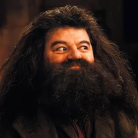 Bác Hagrid