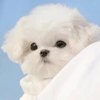 Bí ẩn