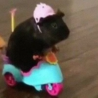 tg giả bị khùm