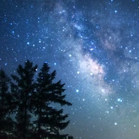 Nhân vật tổng hợp