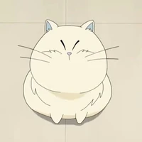 MiMi