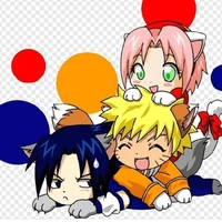 Team 7