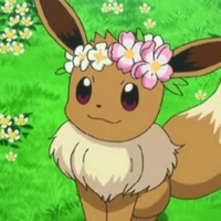 Eievui_của Rianeko♀️