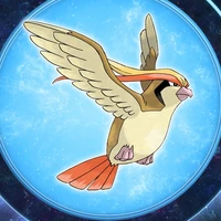 Pigeot_của Enajoy♀️