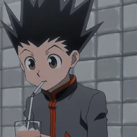 Gon Freecss