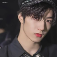 Lưu Diệu Văn(anh)