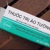 trợ lí t/g
