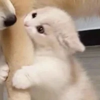 Tác giả Dannie