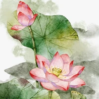 TG /kim/