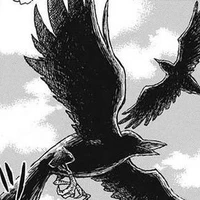 Quạ của Yuki - Yoko