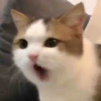 All