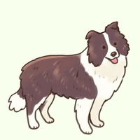 Colli
