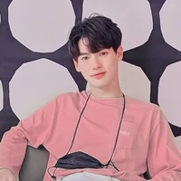 win metawin