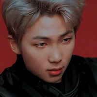 Kim Namjoon (baba Taehyung - Chaeyoung)