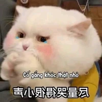 Em Bé Lú ì(Mon)