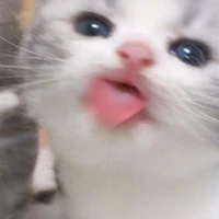 quễ tác giả