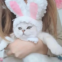 Tác Giả ây :)))