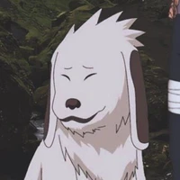 Akamaru