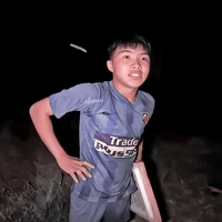Phạm Đình Hoà