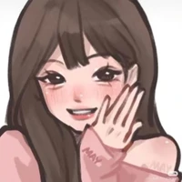 Y/N