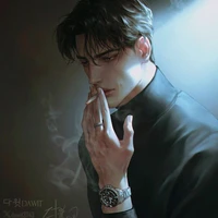 Gemini Karlos_Giáo sư môn bay