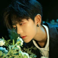 Cao Phong Bảo Bình