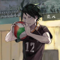 Yamaguchi tadasi(alpha)