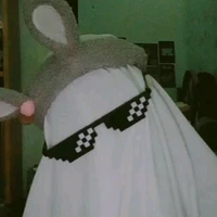 nhóm bot