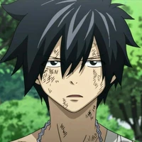 Gray Fullbuster