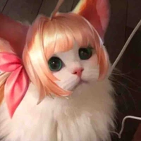 kissyvirrgo 